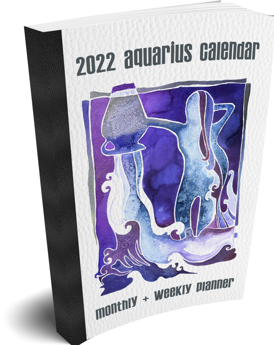 2022 Aquarius Calendar 14Month Appointment Calendar Book 2022 with U