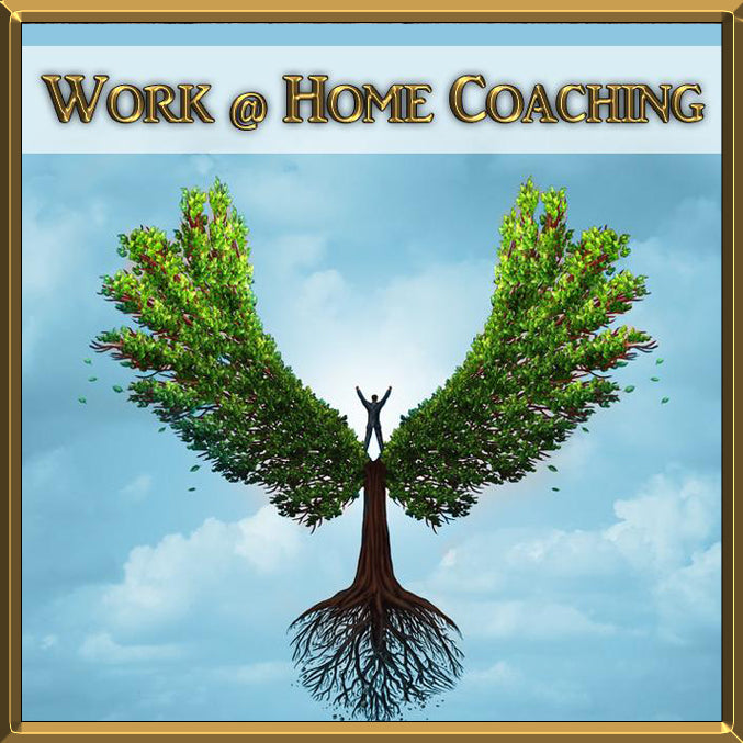 Work @ Home Coaching with Deborah S. Nelson