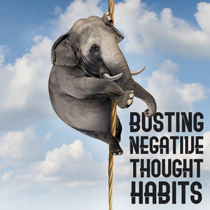 Busting Negative Thought Habits--This image shows how you can break out of negativity. The image is an elephant climbing a rope. With this 10 part mini-course you will learn the power of changing your negative thought habits. Course by Book Coach Deborah 