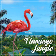 PLATINUM—1 Mth Publishing Flamingo Jungle, R.D. Retreat